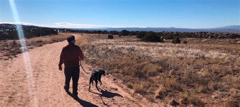 pet friendly hotels in new mexico